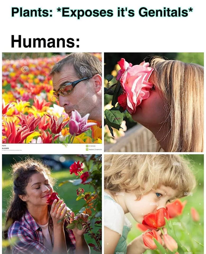 This meme is a humorous commentary on the idea that humans are often more discreet about their personal matters than plants. The image juxtaposes a photo of a person "exposing" themselves (presumably in a suggestive or embarrassing way) with a photo of a plant "exposing" its flowers or leaves. The text above the image reads "Plants: *Exposing themselves* Humans: *Exposing themselves*".